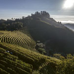 The early Nineties, a period of strategic development - Memories of Luca