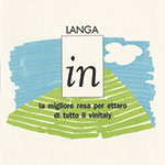 From small Piedmontese producers to Langa In - The Comparison