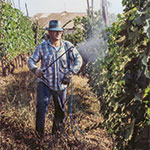 From Giacomo Borgogno to Marchesi di Barolo - Youth