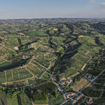 The vineyards - Reality