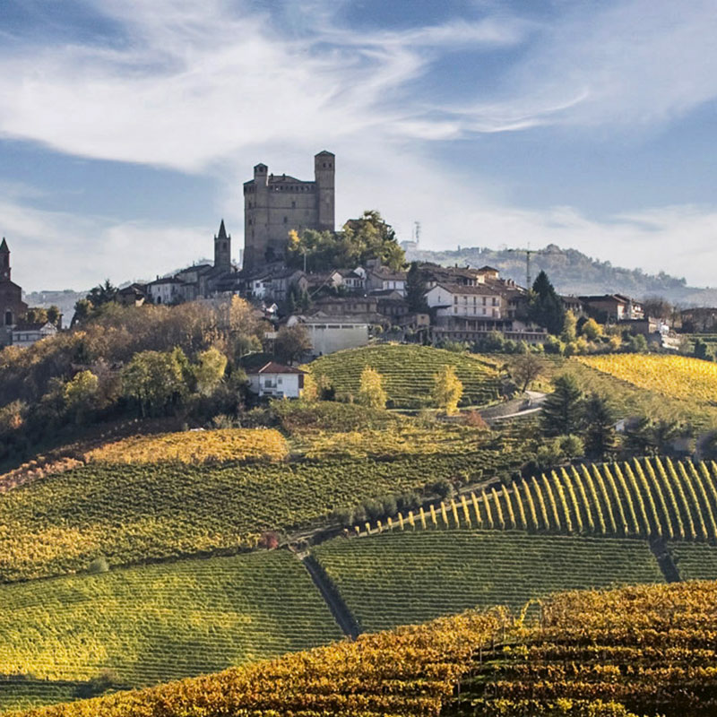 Vineyard hills in Serralunga d’Alba