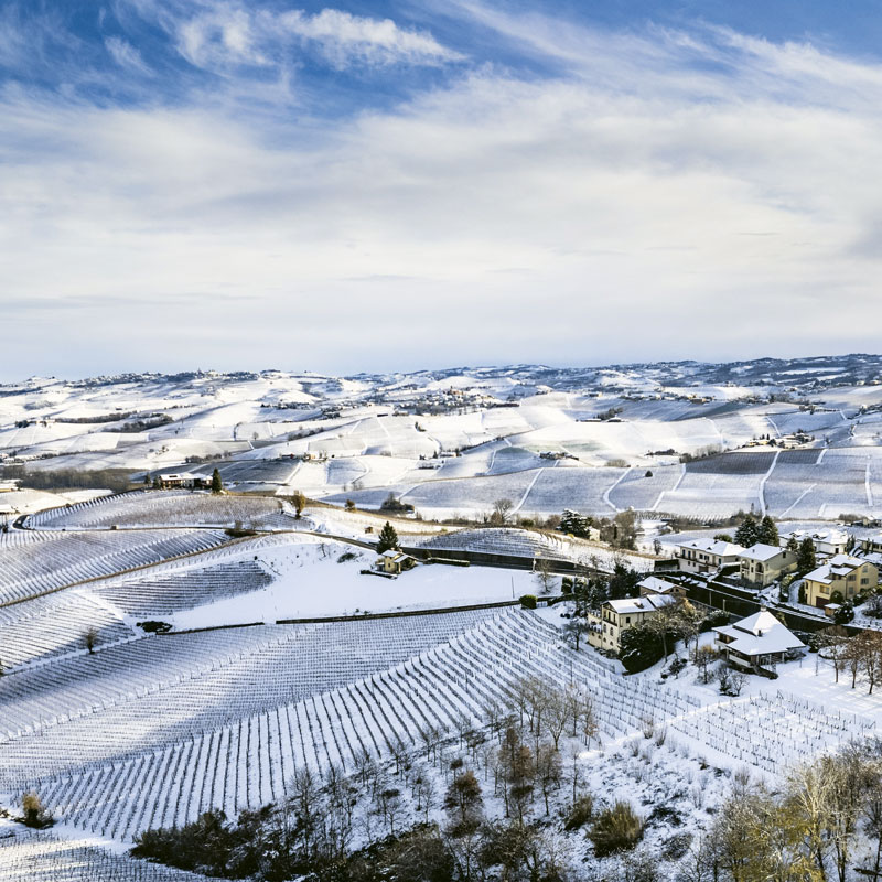 The long hill of Cannubi under the snow