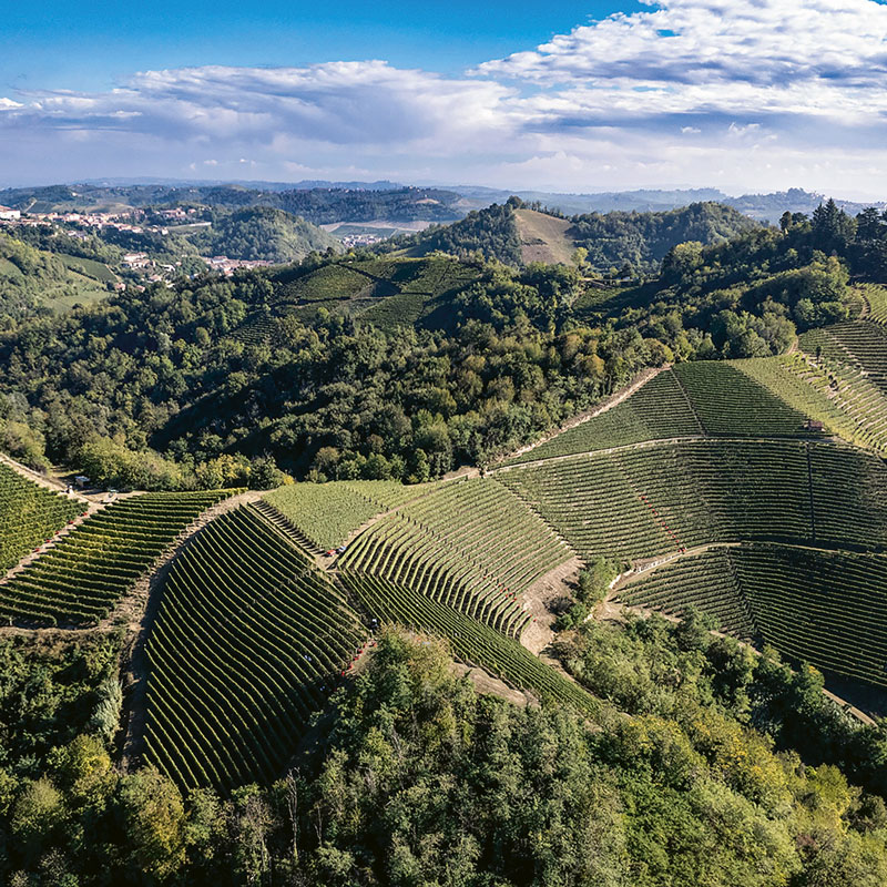 The Valmaggiore hillside