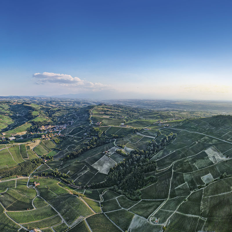 Drone footage of vineyards