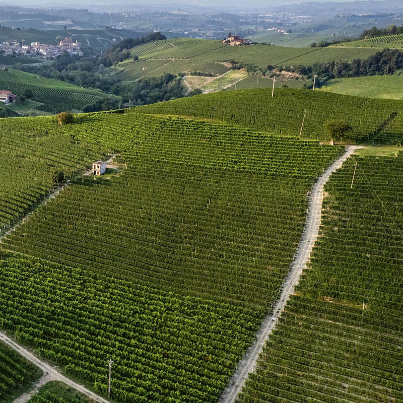 Vineyards in the MGA Ravera, between Barolo and Novello