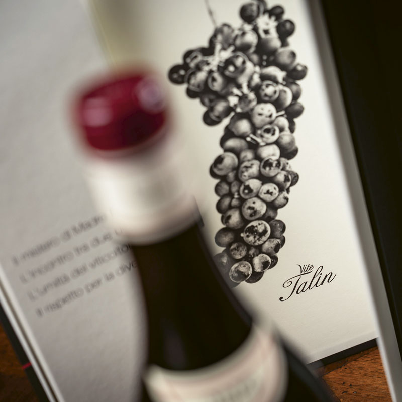 Barolo Vite Talin