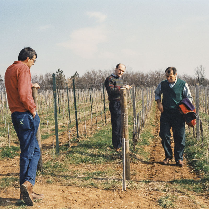 Luciano with other producers at the Enoteca Regionale del Barolo and in a vineyard