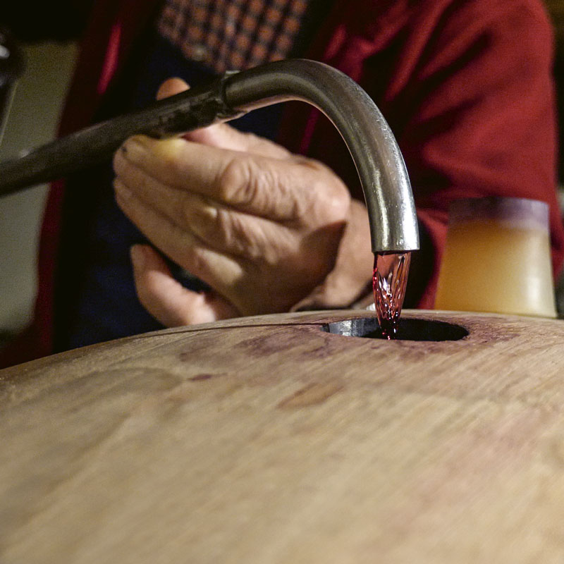 Luciano's skilled hands at work in the cellar
